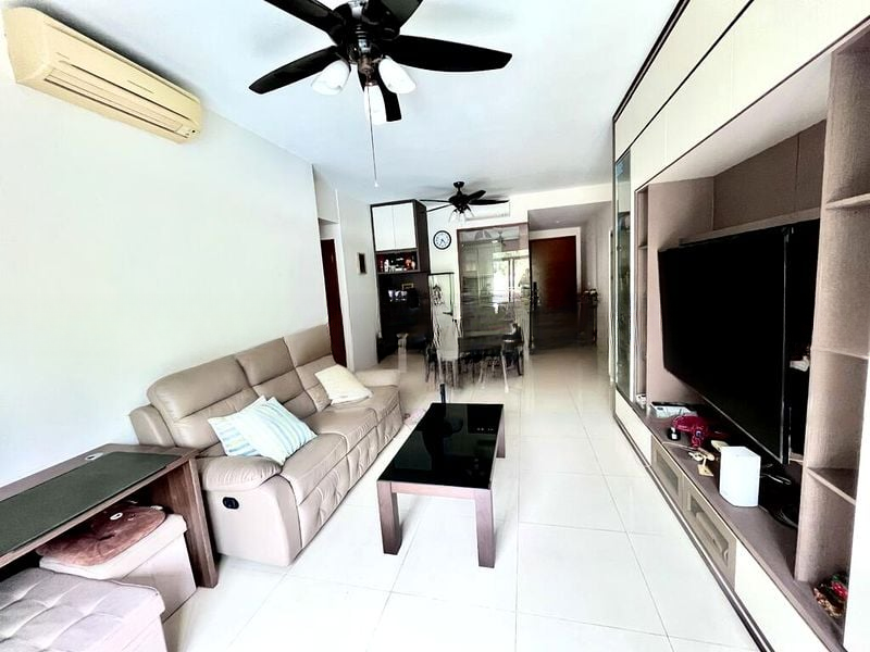 THE RAINTREE 3