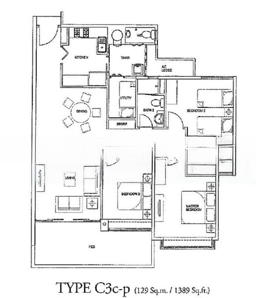 THE RAINTREE 9