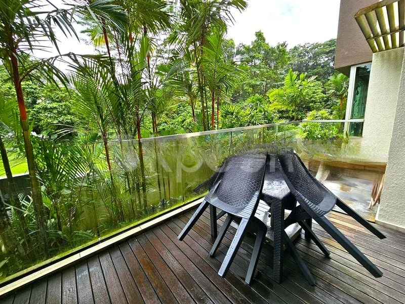 THE RAINTREE 7