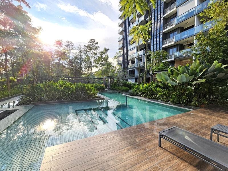 THOMSON IMPRESSIONS 4