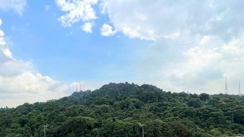 DAIRY FARM RESIDENCES 7