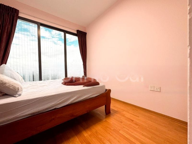 THE CLEMENT CANOPY 6