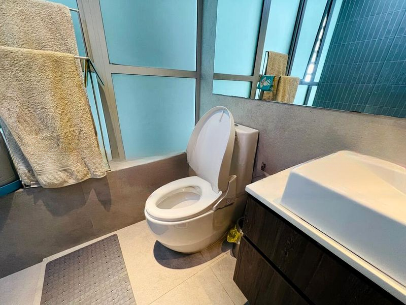 THE ROCHESTER RESIDENCES 4