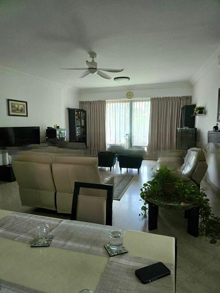 ASTOR GREEN 6