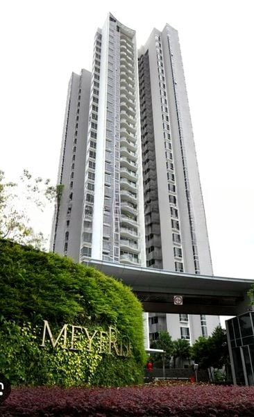 THE MEYERISE 2