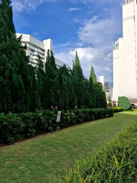 PARC VISTA 6