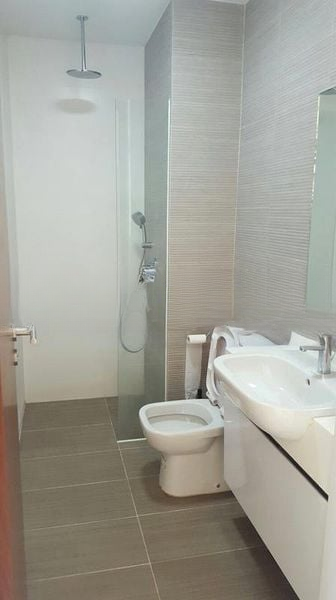 CASSIA EDGE 7
