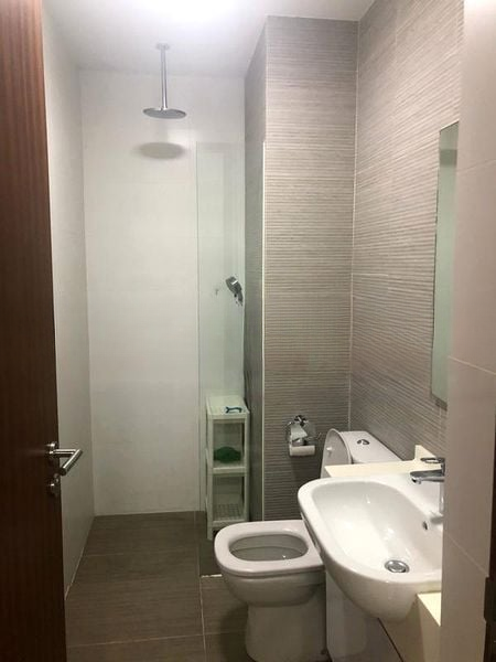 CASSIA EDGE 6