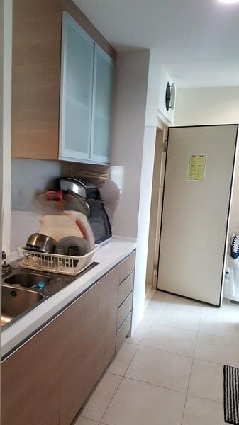 QUINTERRA 8