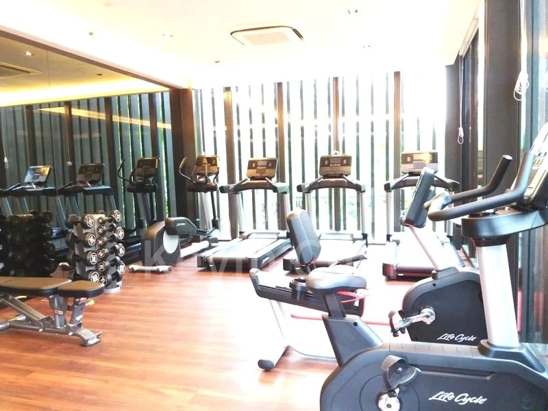 THOMSON IMPRESSIONS 11