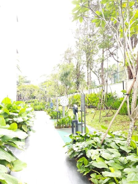 THOMSON IMPRESSIONS 15