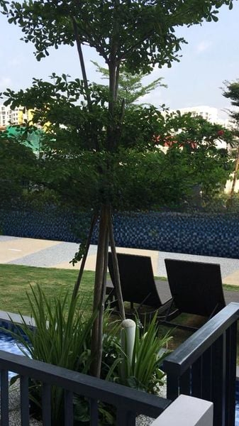 KINGSFORD WATERBAY 7