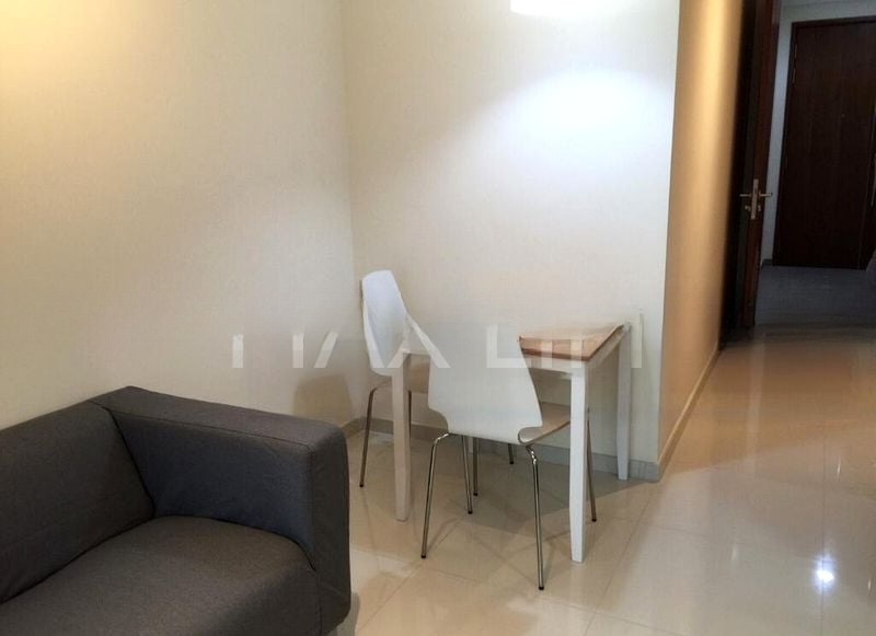 CASSIA EDGE 3