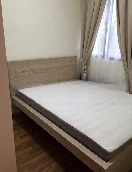 CASSIA EDGE 2