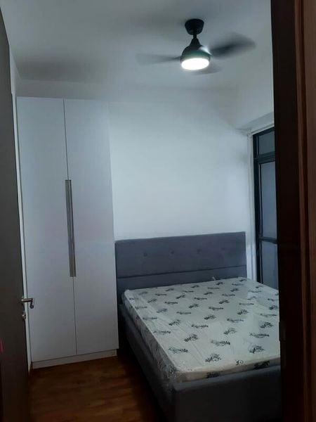 LAUREL TREE 8