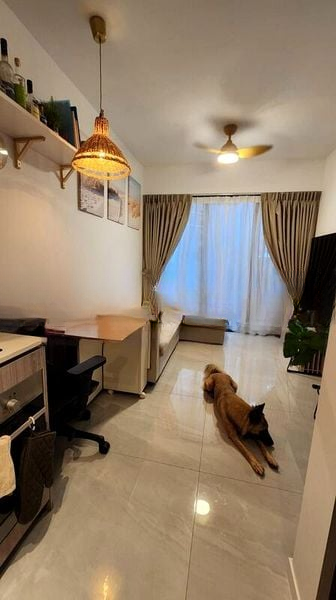 RIVERFRONT RESIDENCES 11