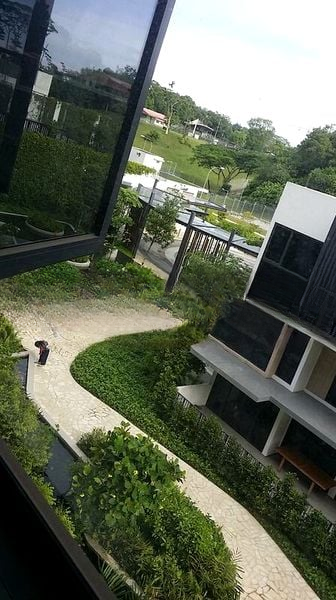 THE RAINFOREST 1