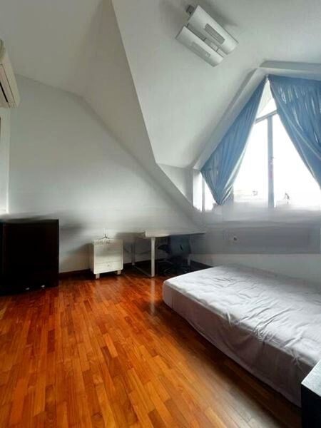 THE ARECA 4