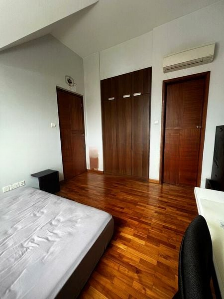 THE ARECA 2