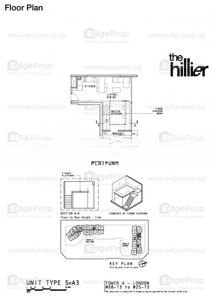 THE HILLIER 13
