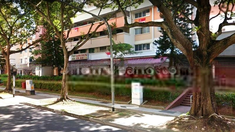 SERANGOON AVE 3 10