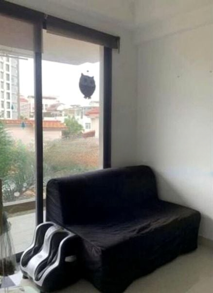 RESIDENCES 88 5