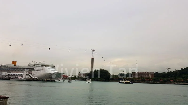 CORALS AT KEPPEL BAY 6