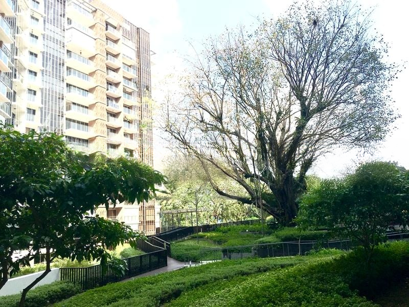 BARTLEY RESIDENCES 15