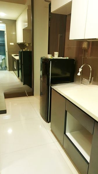 THOMSON V ONE 5