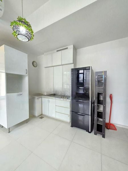 THE SILVER FIR 3
