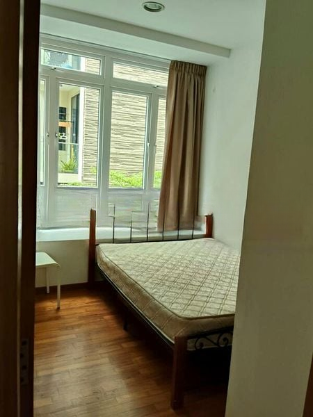 PALM LOFT 5