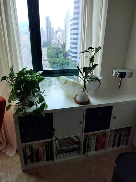 JERVOIS JADE 6