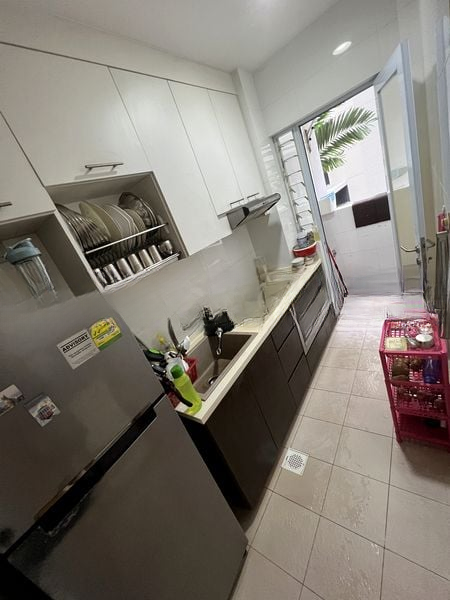 PALM LOFT 5