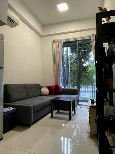 CASSIA EDGE 8