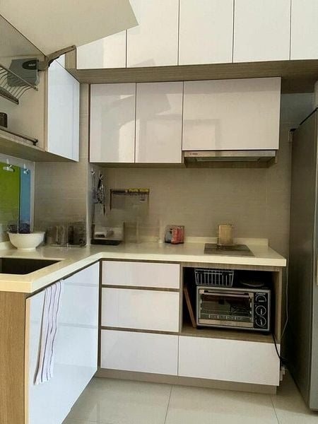 CASSIA EDGE 6