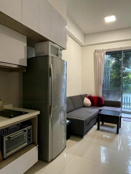 CASSIA EDGE 7