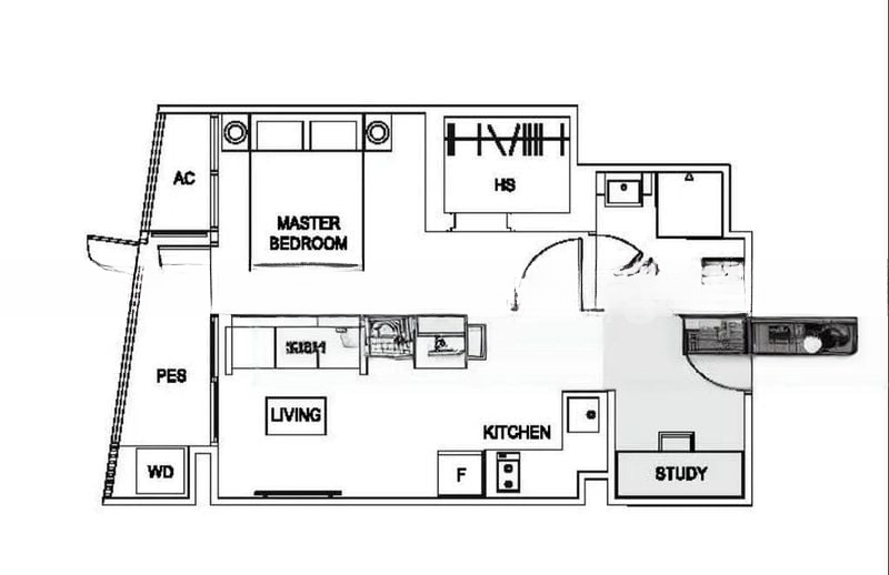 CASSIA EDGE 9