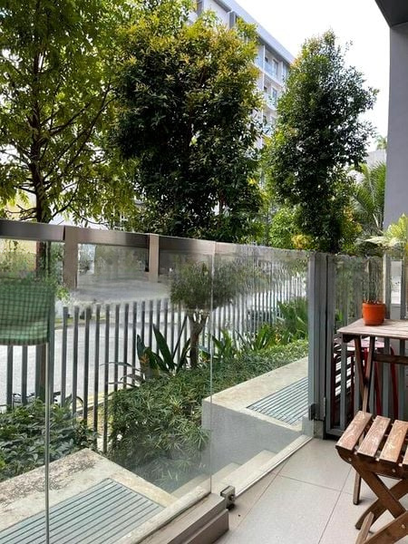 CASSIA EDGE 3
