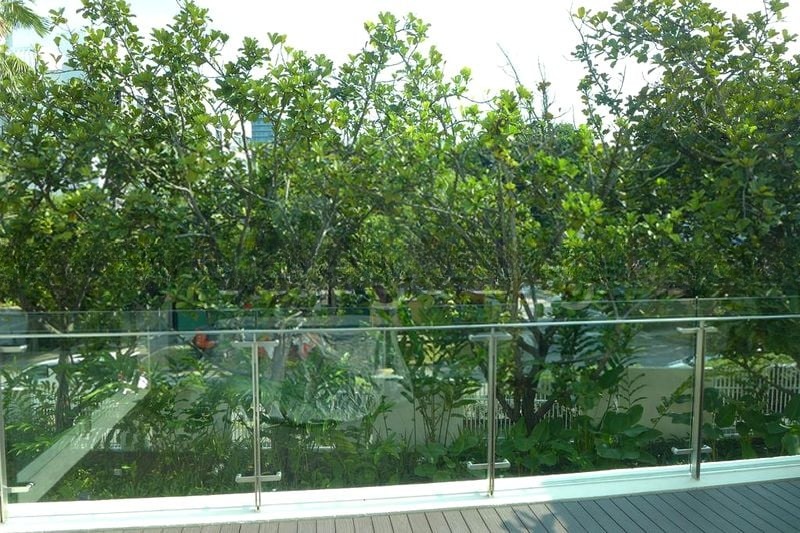 THE BOTANIC ON LLOYD 8