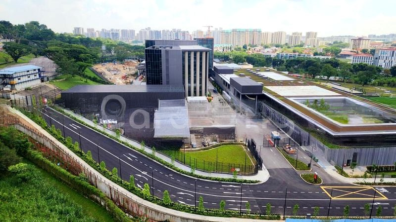 KINGSFORD . HILLVIEW PEAK 7