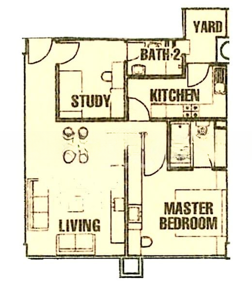 THE DAFFODIL 8