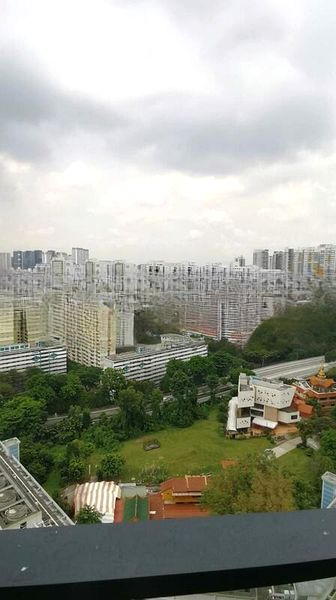 AVENUE SOUTH RESIDENCE 4