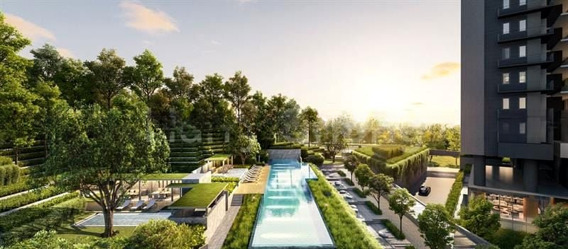 BLOSSOMS BY THE PARK 7