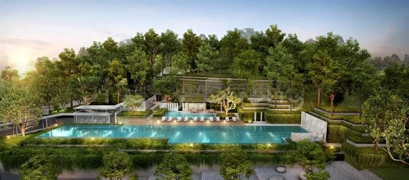 BLOSSOMS BY THE PARK 6