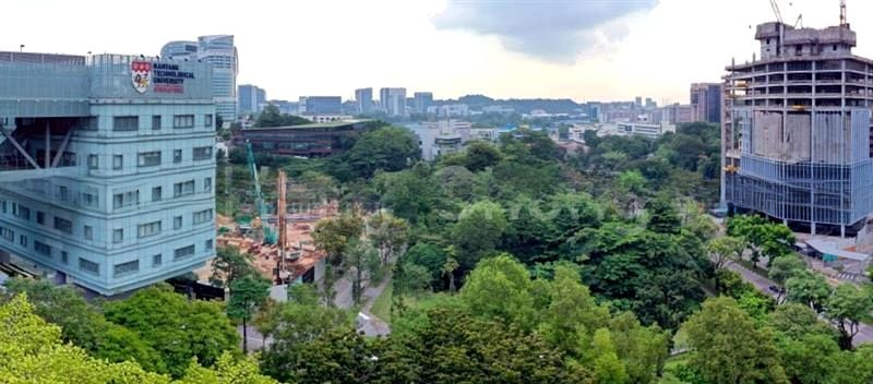 BLOSSOMS BY THE PARK 8