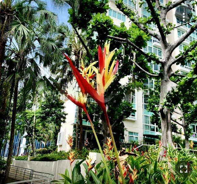 GOLDENHILL PARK CONDOMINIUM 2