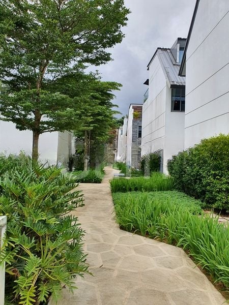 THE GREENWOOD 1