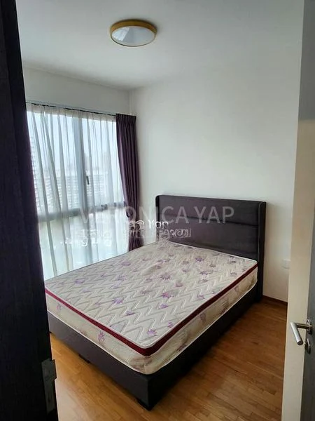 THE CLEMENT CANOPY 5