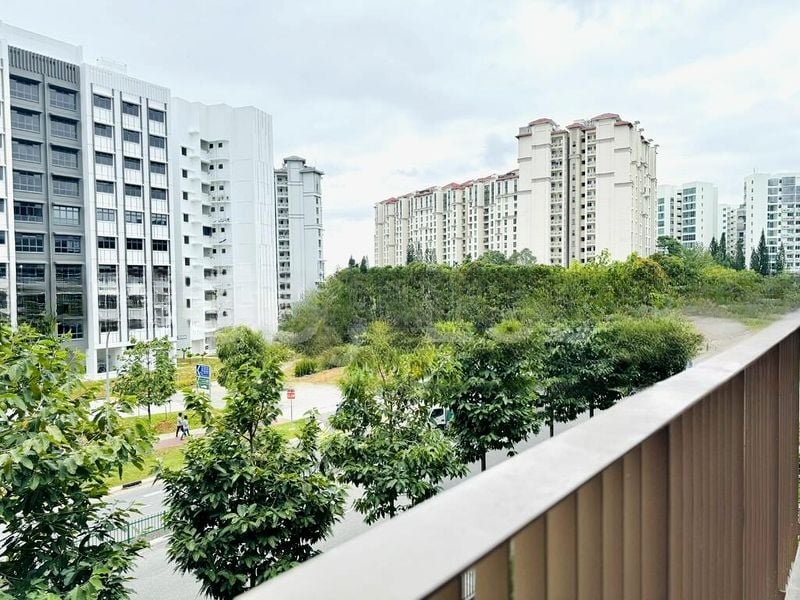 THE WATERGARDENS AT CANBERRA 13