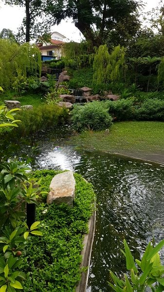 THE CREEK @ BUKIT 15